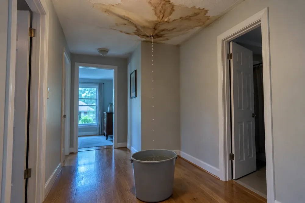 Brown-stained hallway ceiling sagging above a bucket catching water drips.